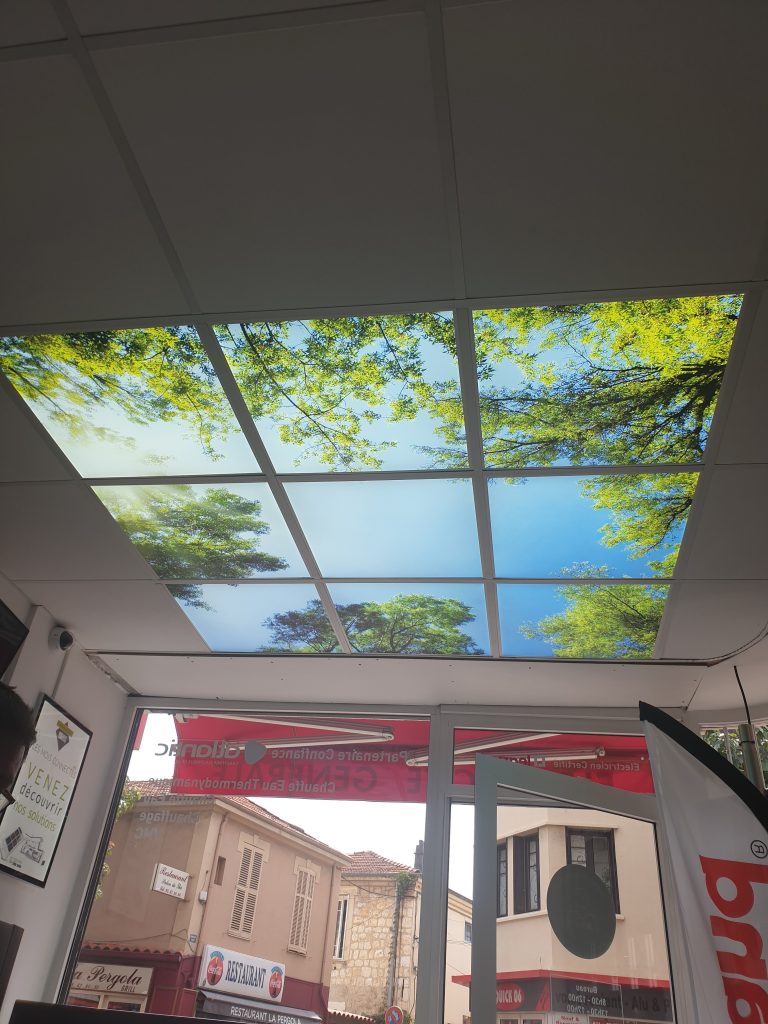Décoration de plafond par dalles LED
